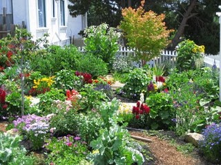 Google Garden Design on Cottage Wildflower Gardens